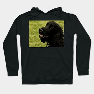 Cocker Hoop Hoodie